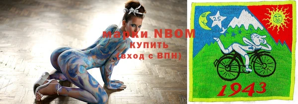ешки Билибино